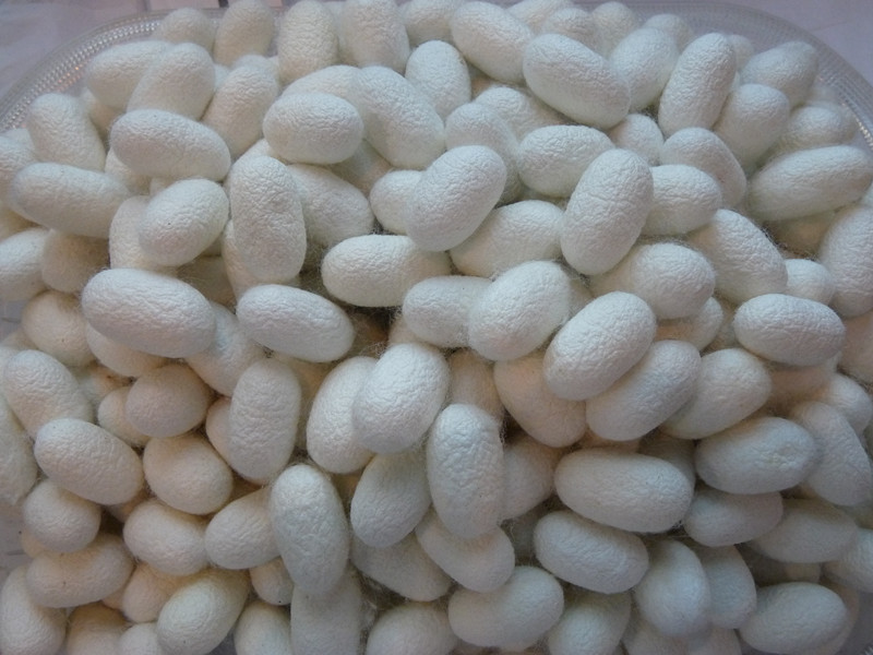 圖片名稱(chēng)1